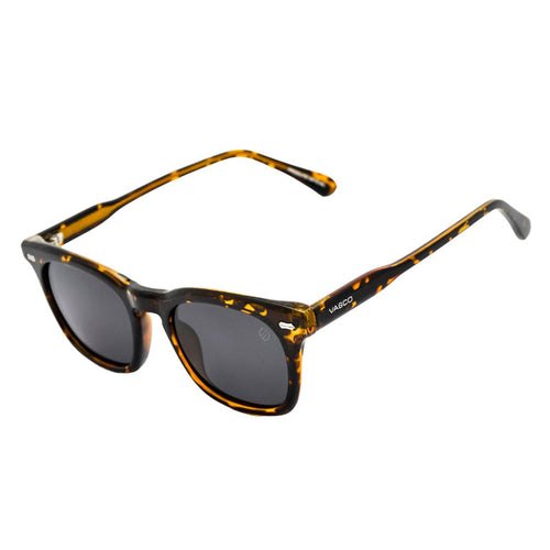 Óculos de Sol Vasco BK1006C2
